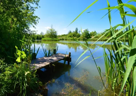Island View is set in beautiful shared gardens & idyllic lakes which guests are free to explore