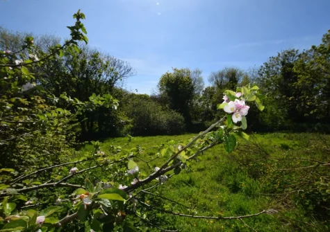 A charming little orchard forms part of the farm land and is ideal for romantic picnics