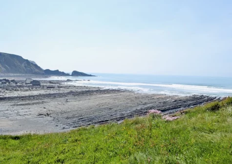 Located in a remote, rural area, Welcombe Mouth Beach features a pebbly shoreline that reveals sand at low tide