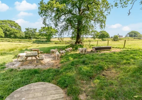 Guests have access to seven acres of grounds with two lakes stocked with carp