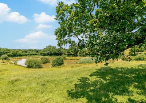 Guests have access to seven acres of grounds with two lakes stocked with carp