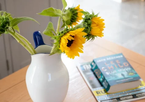 The living room at Kingfisher Cottage, Coldridge