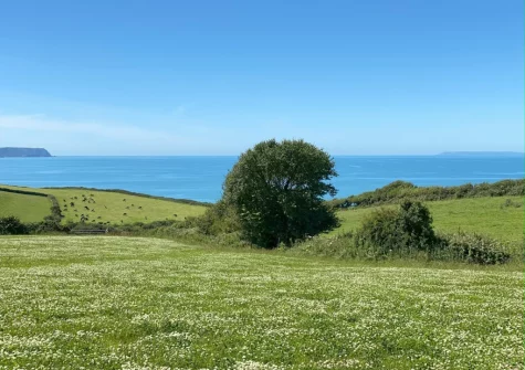 Enjoy walks with breathtaking views along the nearby coast path directly from your front door