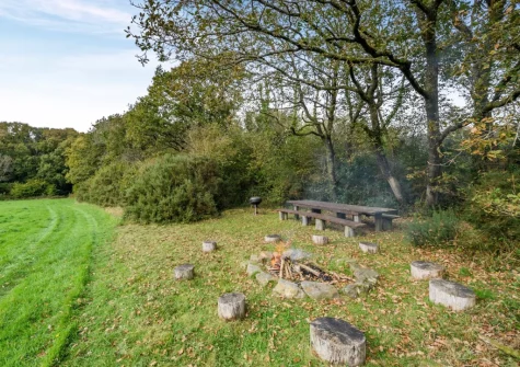 The woodland dining space & firepit at Knaworthy, Frithelstock Stone