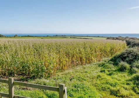 Explore this Area of Outstanding Natural Beauty with the coastal path on your doorstep