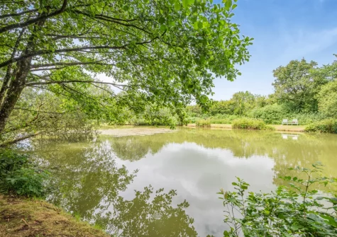 Guests are free to wander the 17 acres of grounds and lakes