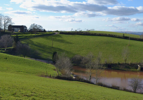 The fishing pond & surrounding countryside at Newbarn Farm, Collaton St Mary