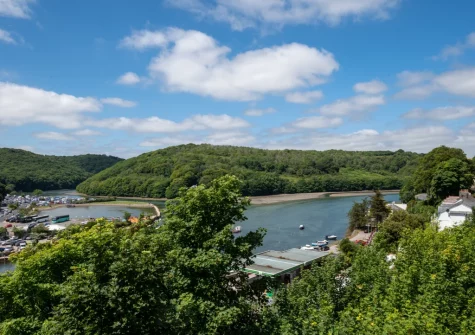 Enjoy fabulous views of the river, Kilminorth Woods and West Looe when you stay at Lamorna