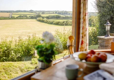 The view from the second living room at Langdon House, Jacobstow