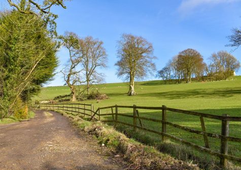 The countryside surrounding Snodwell Farm, Cotleigh
