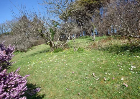 The lawned garden at Little Foxes, Perranporth