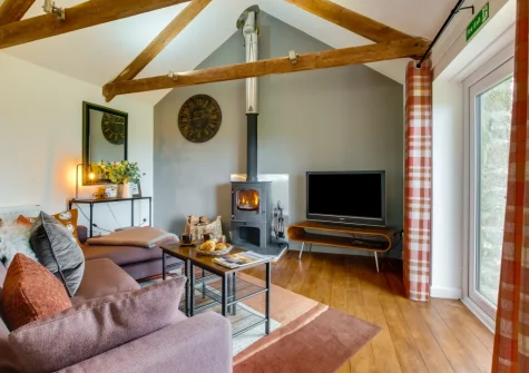 The cozy living area at Little Irish, St Breward