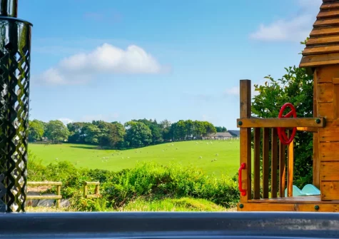 The countryside view from the wood fired hot tub at Little Lower Pengelly, Blisland