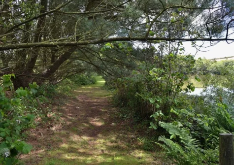 Enjoy shared access to the 40-acre woodland grounds when you stay at Little Owl, Winnard's Perch