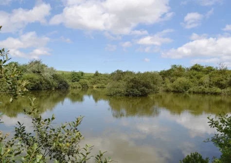 Enjoy shared access to the 40-acre woodland grounds when you stay at Little Owl, Winnard's Perch