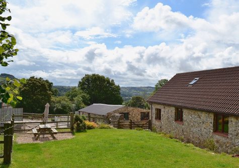 The garden at Little Shelvin Farm Cottage, Luppitt