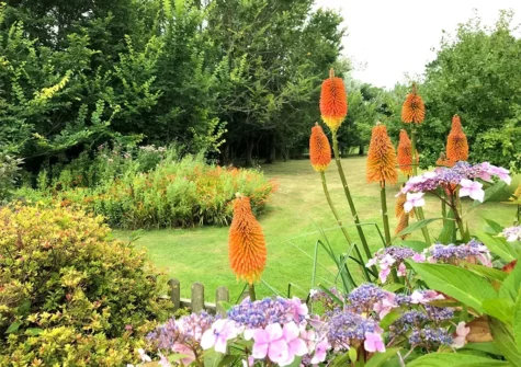 The garden at Little Water Farm Lake View House, Goonhavern