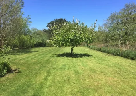 The garden at Little Water Farm Lake View House, Goonhavern