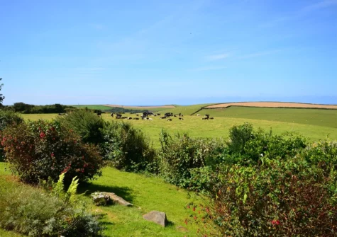 Enjoy far-reaching countryside views at Long Cottage, Trelights