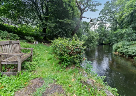 Guests are free to explore 7.5 acres of shared grounds that include tranquil woodlands