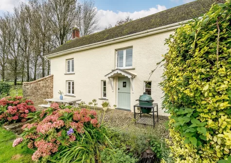 The patio, alfresco dining & barbecue area at Lower Cannington Cottage, Witheridge