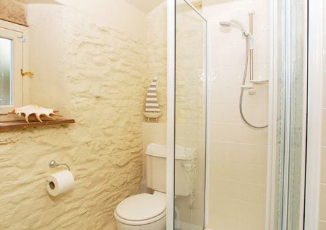 The downstairs shower room @ Lyndale Cottage, Kingsand