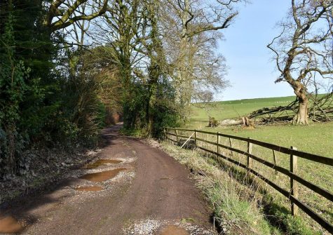 The surrounding countryside at Snodwell Farm, Cotleigh