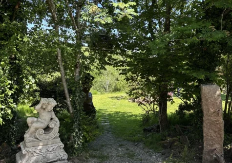 The garden at Maple Barn, Torrington