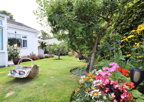 The lawned garden at Marily Cottage, Honiton