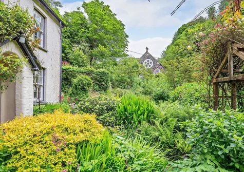 The front garden at Marks Cottage, Buck's Mills
