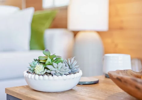 The living area at Meadow View Eleven, Mullacott