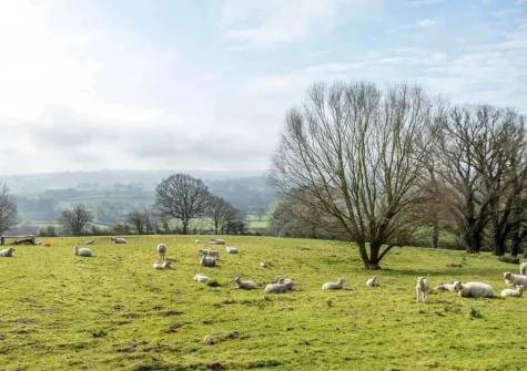 The far-reaching country views from the living area & patio at Medlar's Cott, Tytherleigh