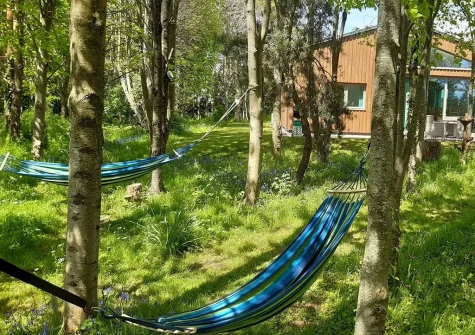 The wooded area at Merry Barn, Payhembury