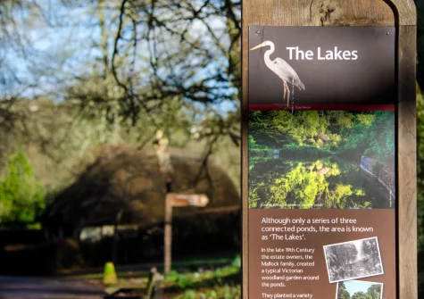 Enjoy nearby Cockington Country Park, boasting three pretty ornamental lakes, a historic Manor House and quaint 11th-century church