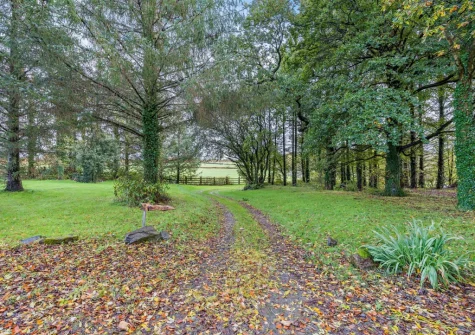 You're welcome to enjoy the stunning woodland walks that lead from the pond & offer all sorts of colours as the seasons change