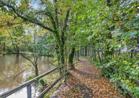 You're welcome to enjoy the stunning woodland walks that lead from the pond & offer all sorts of colours as the seasons change