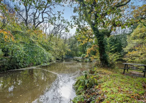 You're welcome to enjoy the stunning woodland walks that lead from the pond & offer all sorts of colours as the seasons change