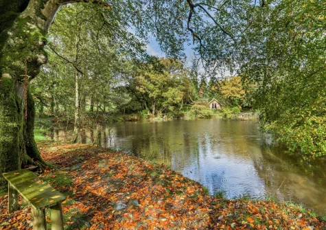 You're welcome to enjoy the stunning woodland walks that lead from the pond & offer all sorts of colours as the seasons change