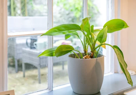 The dining area, looks out onto the decked outdoor sitting area, at Mole End, Fowey