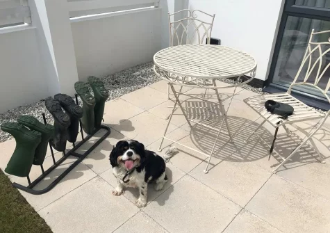 Mondeville accomodates up to three well behaved dogs