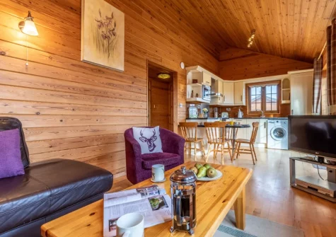 The living area at Moorhen Lodge 18 at Clovelly Lakes, Higher Clovelly