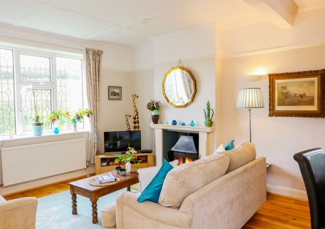 The living area at Muddykins Cottage, Muddiford