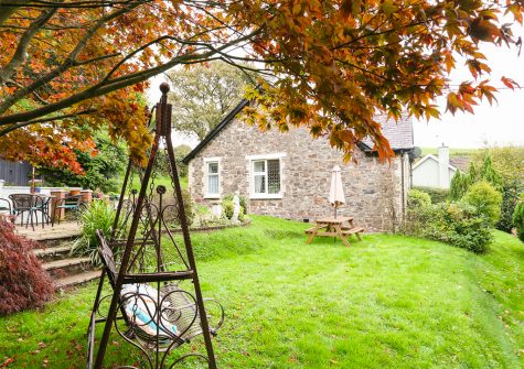 The garden at Muddykins Cottage, Muddiford