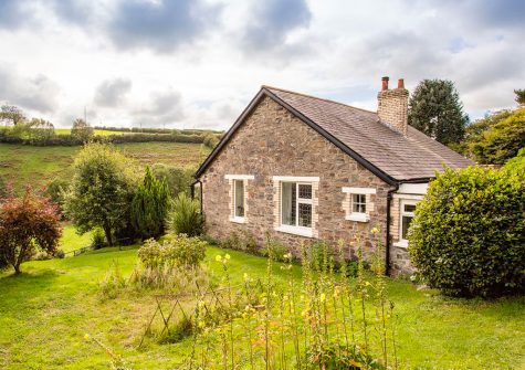 The garden at Muddykins Cottage, Muddiford