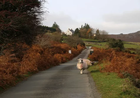 The area is a walker's paradise, with so much to see right on your doorstep