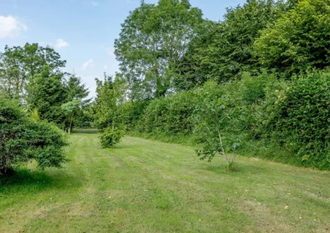 The garden at Newhaven Cabin, Branscombe