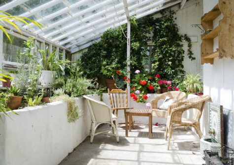 The conservatory at Newport Manor, Newport