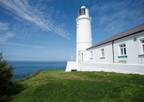 The garden at Trevose Head Lighthouse, Trevose