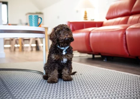 The living area at No.36 By The Beach, Westward Ho!