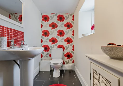 The WC at North Coombe Farm, Rilla Mill